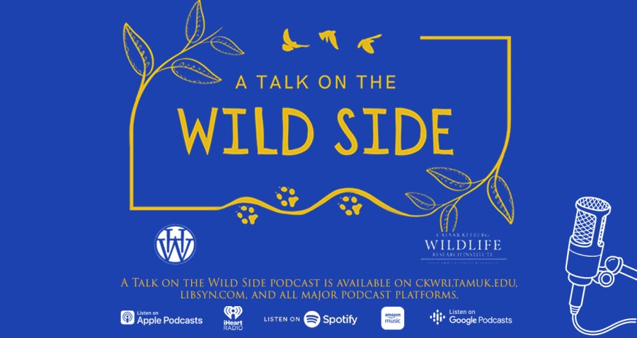 A Talk on the Wild Side