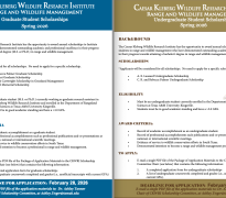 Scholarship Opportunities for Graduate and Undergraduate Students