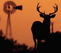 Register Today for the 2026 Deer Research Meeting