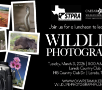 Interested in Wildlife Photography? Join us for a luncheon on March 31st in Laredo, TX!